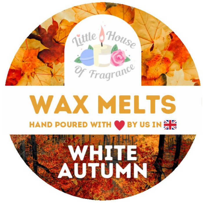 Little House of Fragrance White Autumn Wax Melt